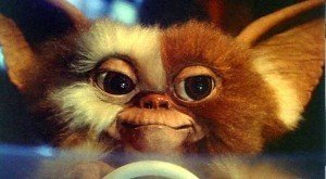 Gremlins: Chris Colombus parla del reboot