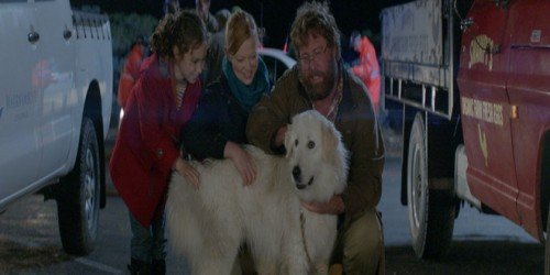 Giotto – l’amico dei pinguini: trailer ufficiale del cane eroe