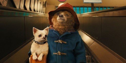 Paddington 2 conferma il regista Paul King