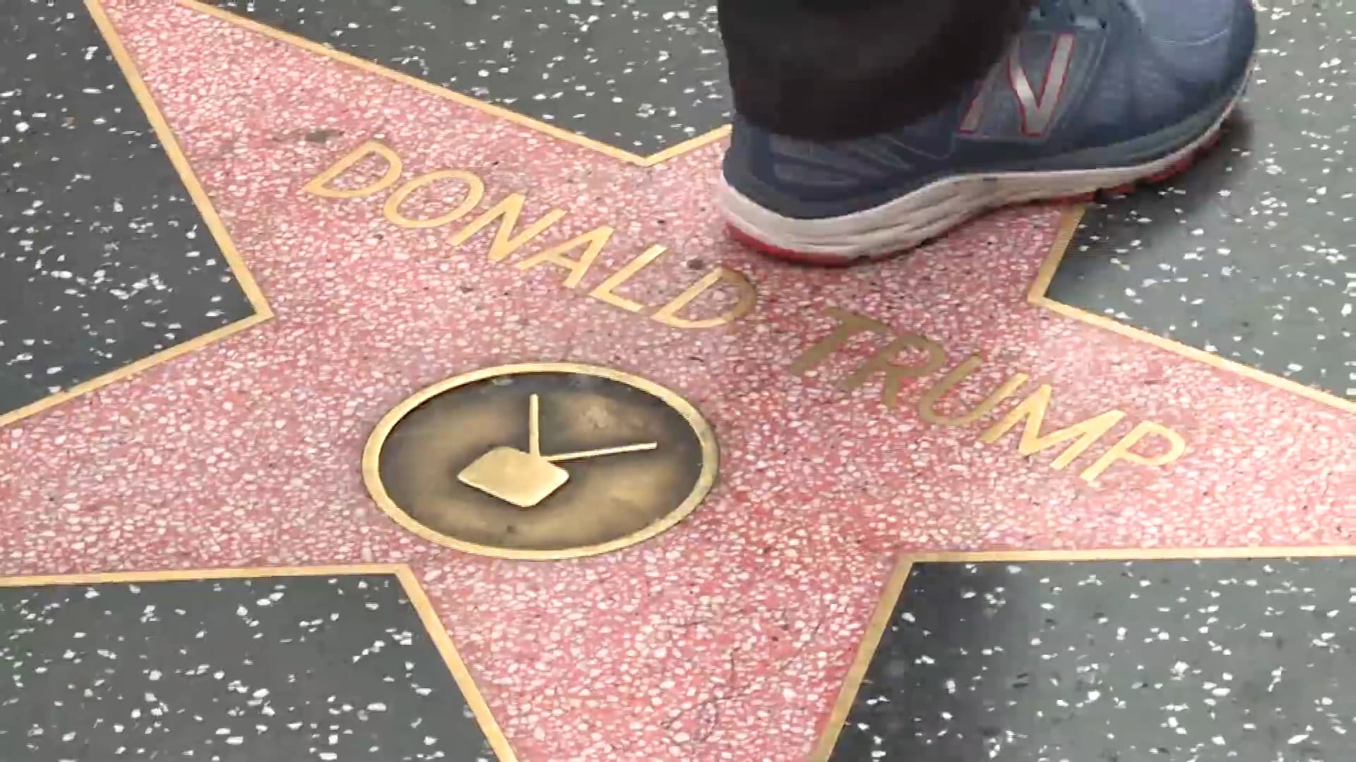 Qualcuno vuole rimuovere la stella di Trump dalla Hollywood Walk of Fame