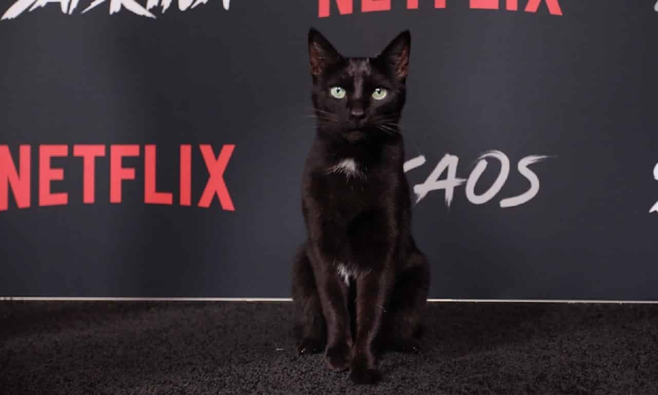 Le Terrificanti Avventure di Sabrina: Salem potrebbe parlare in futuro