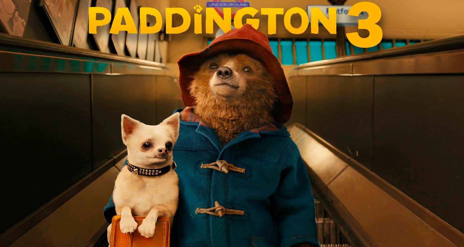 Paddington 3: in cantiere il sequel; Paul King non sarà alla regia