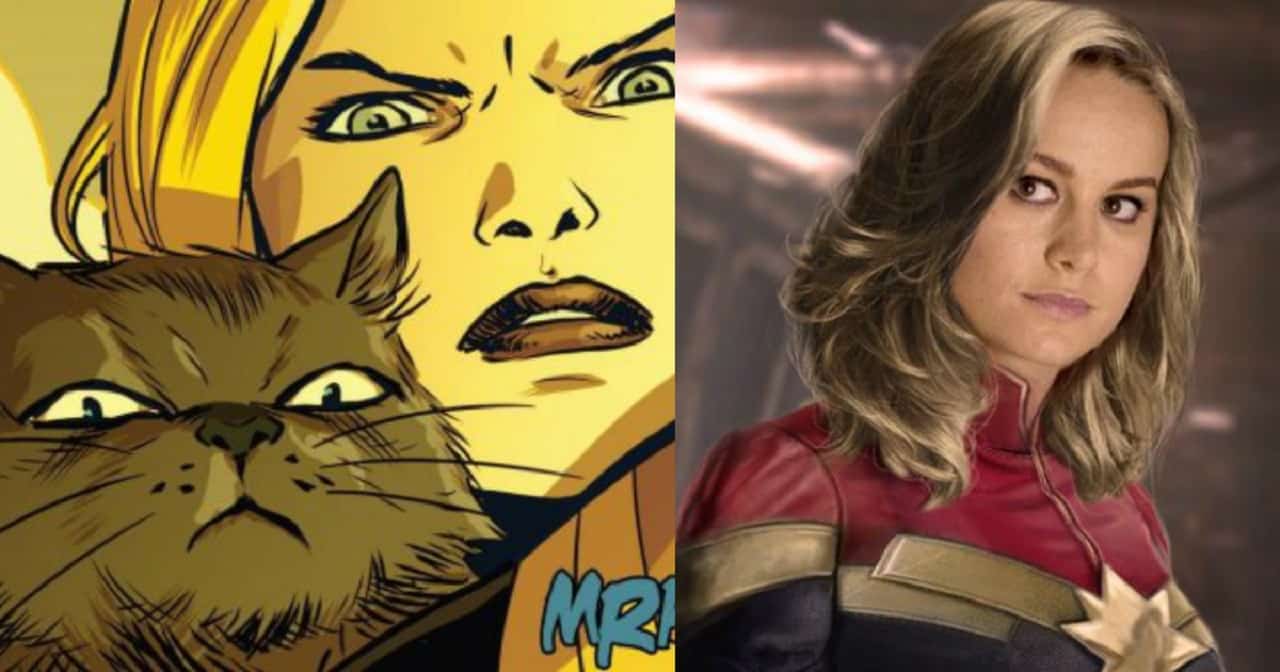 Captain Marvel: il gatto dell’eroina ha un nuovo nome nel film