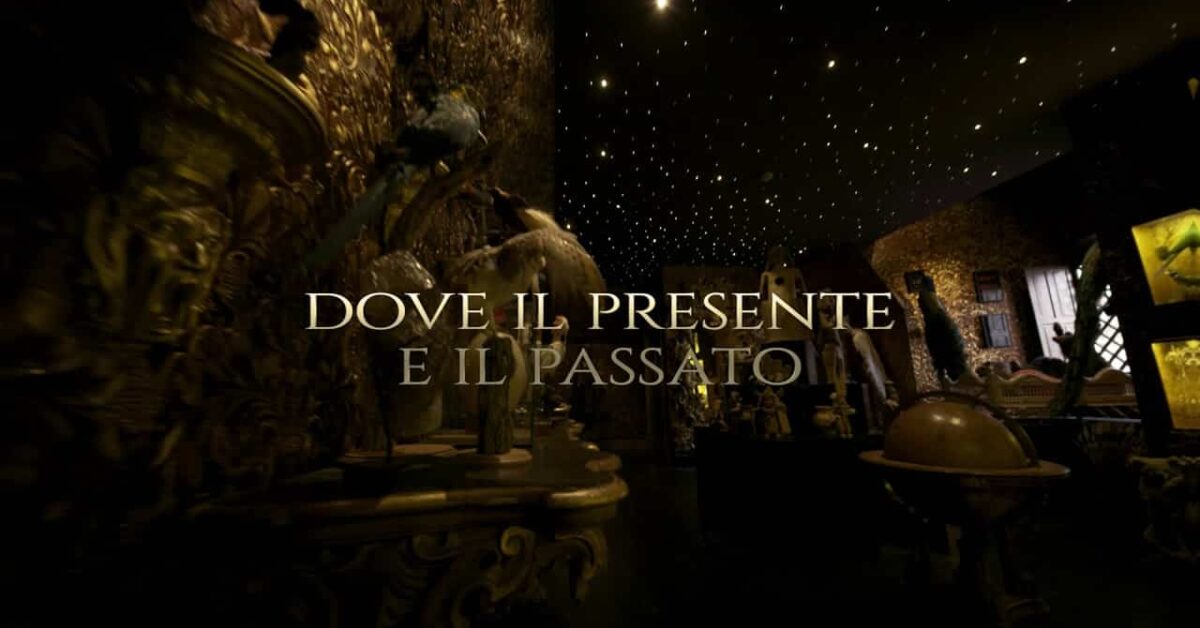 Wunderkammer Le Stanze Della Meraviglia Trailer Del Film 