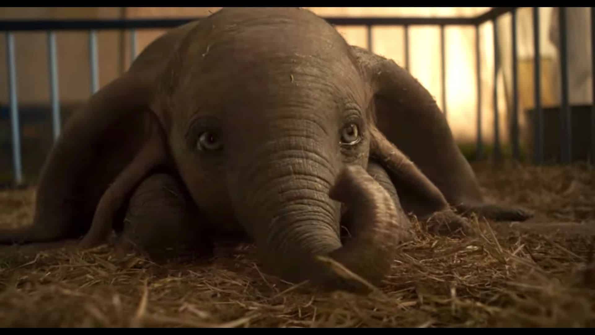 Dumbo: Elisa canterà un brano della colonna sonora del live-action