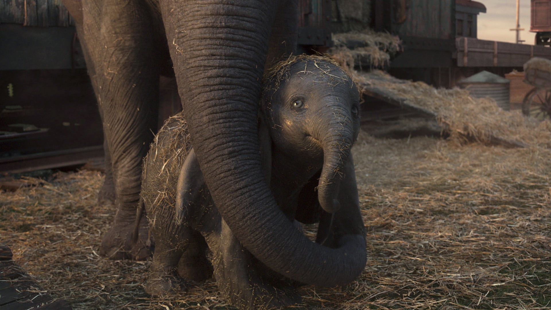 Dumbo: il live-action riscuote un grande successo al Box Office Italia