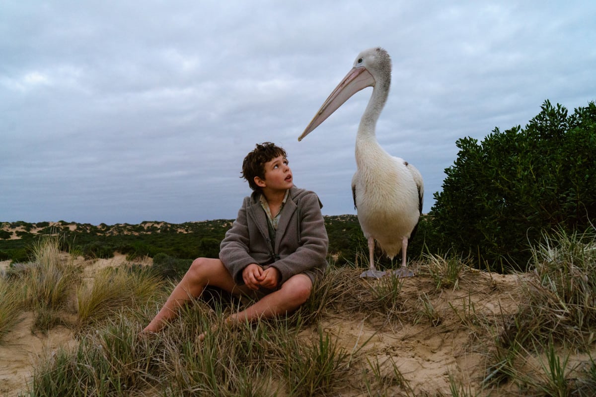 Storm Boy – Il ragazzo che sapeva volare: trailer e data d’uscita del film con Geoffrey Rush