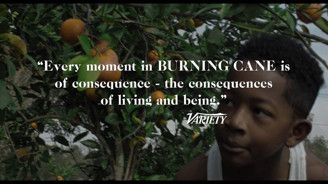 Burning Cane: trailer del film di Phillip Youmans vincitore al Tribeca