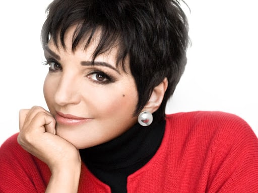 Judy: Liza Minelli non è interessata al film dedicato alla madre