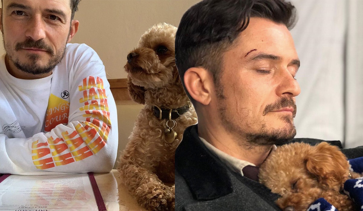 Orlando Bloom: il commovente post d’addio ed il tatuaggio per il cane morto