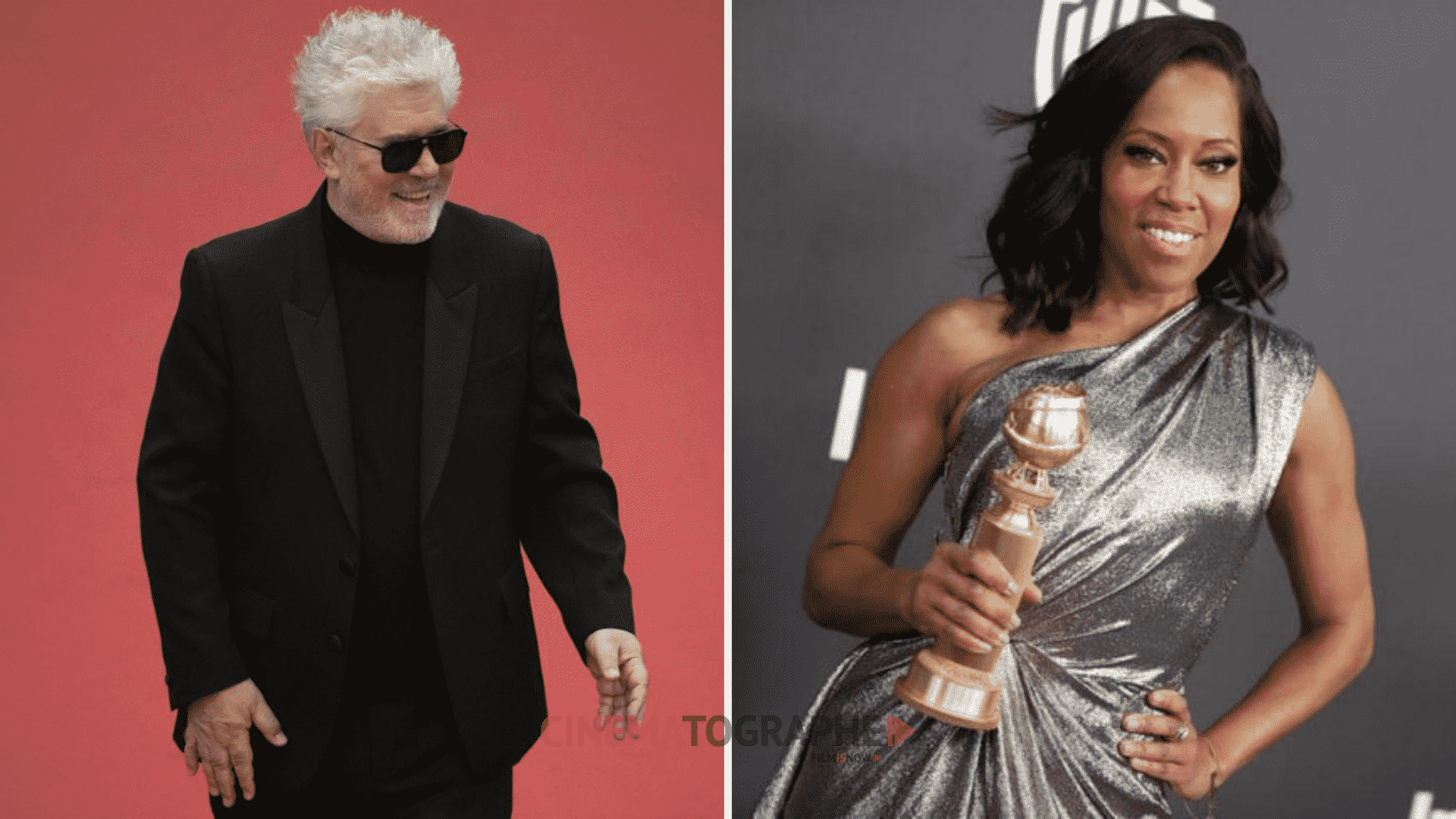 Venezia 77: fuori concorso anche Pedro Almodóvar e Regina King