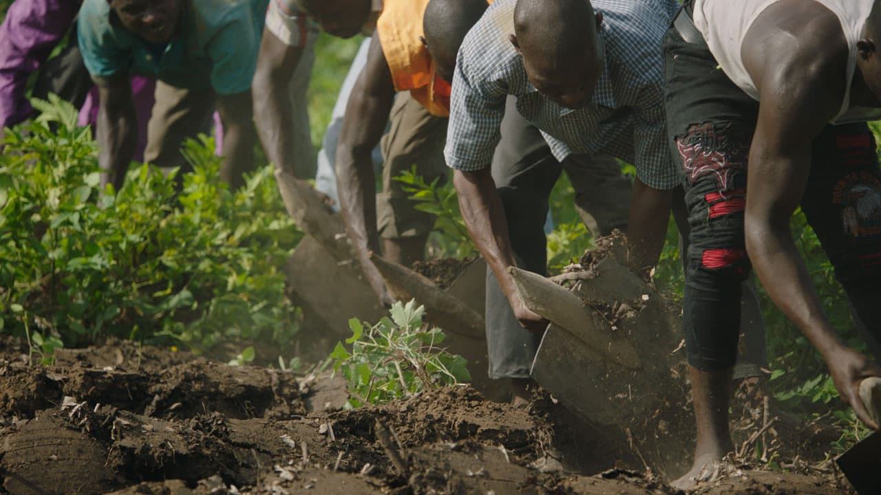 Fescaaal 2021 The Great Green Wall Recensione Cinematographeit