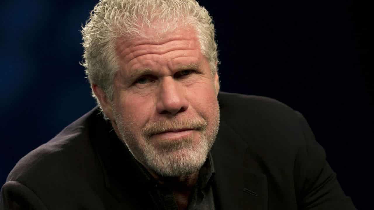 Questo gatto è incredibilmente identico a Ron Perlman… la somiglianza è davvero sconvolgente! [FOTO]