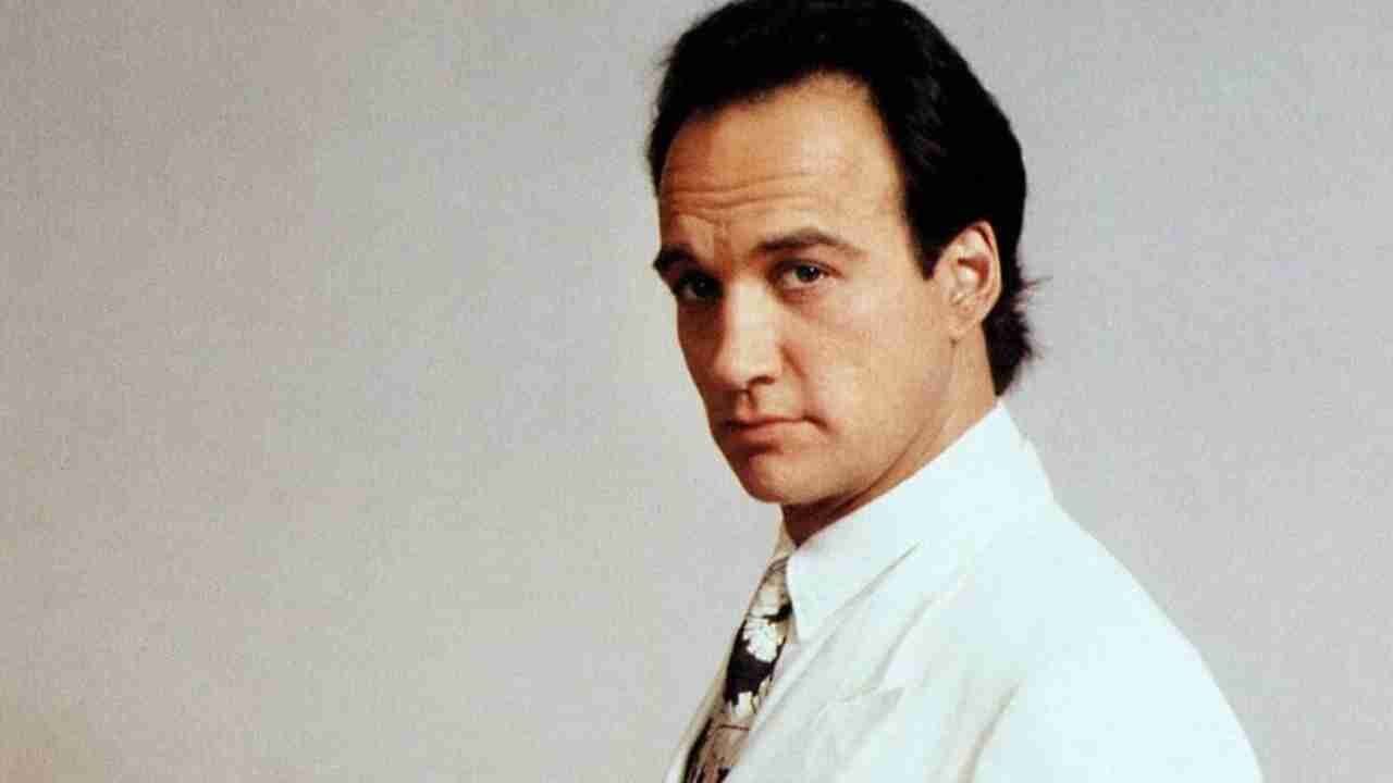 Quanto guadagna Jim Belushi? Il patrimonio del protagonista di Danko, oggi coltivatore di marjuana