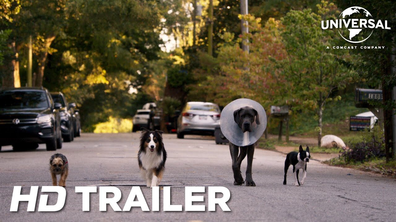 Doggy Style – il trailer della nuova esilarante avventura canina con Will Ferrell