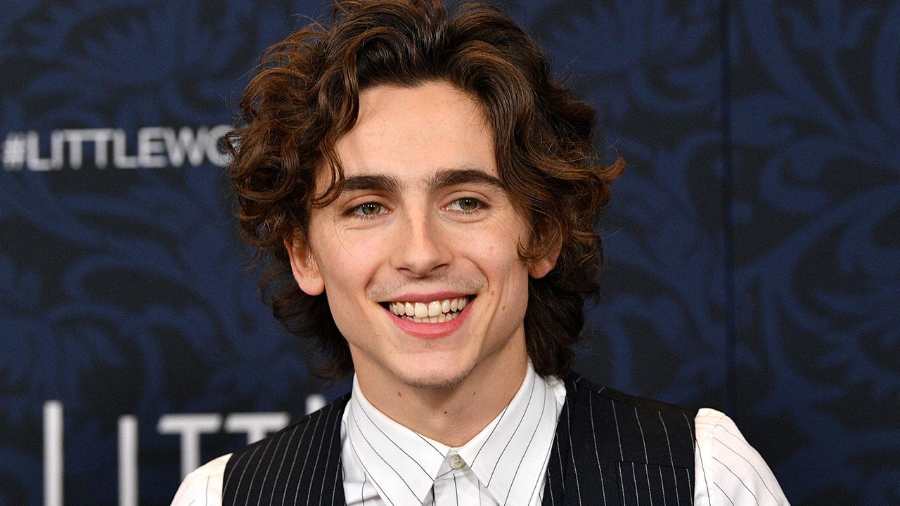 Timothée Chalamet; cinematographe.it