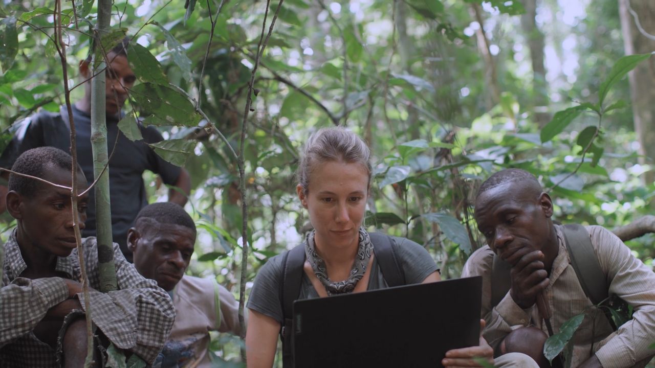 The Pangolin Friend - Cinematographe.it