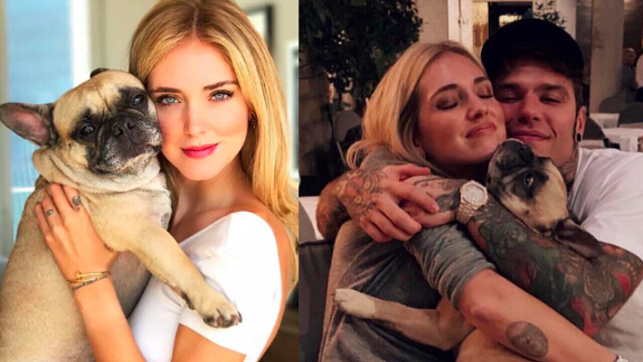 Chiara Ferragni, Fedez e le risposte ai commenti degli haters alla notizia della morte della loro amata cagnolina: “Che schifo”