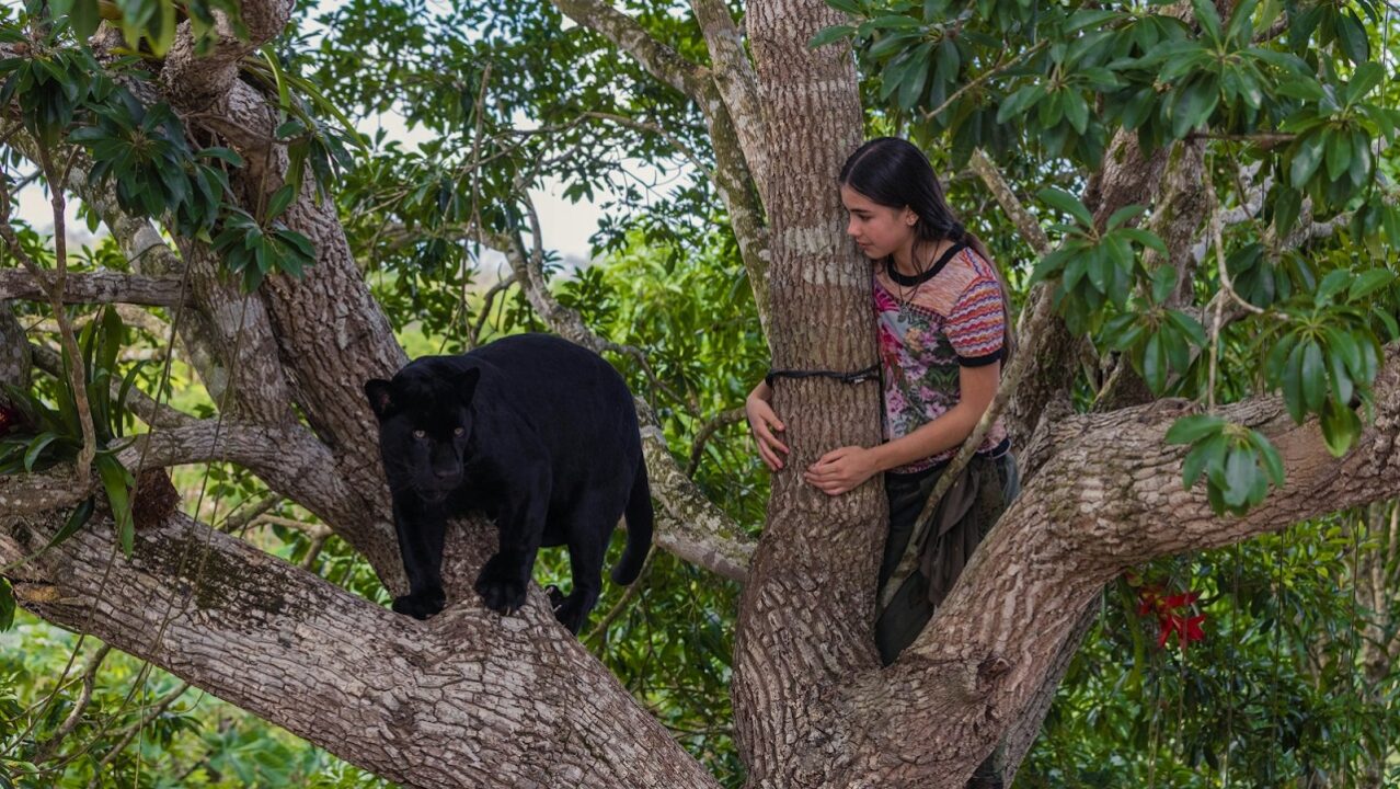 Emma e il giaguaro nero: recensione del film ecologista su Prime Video