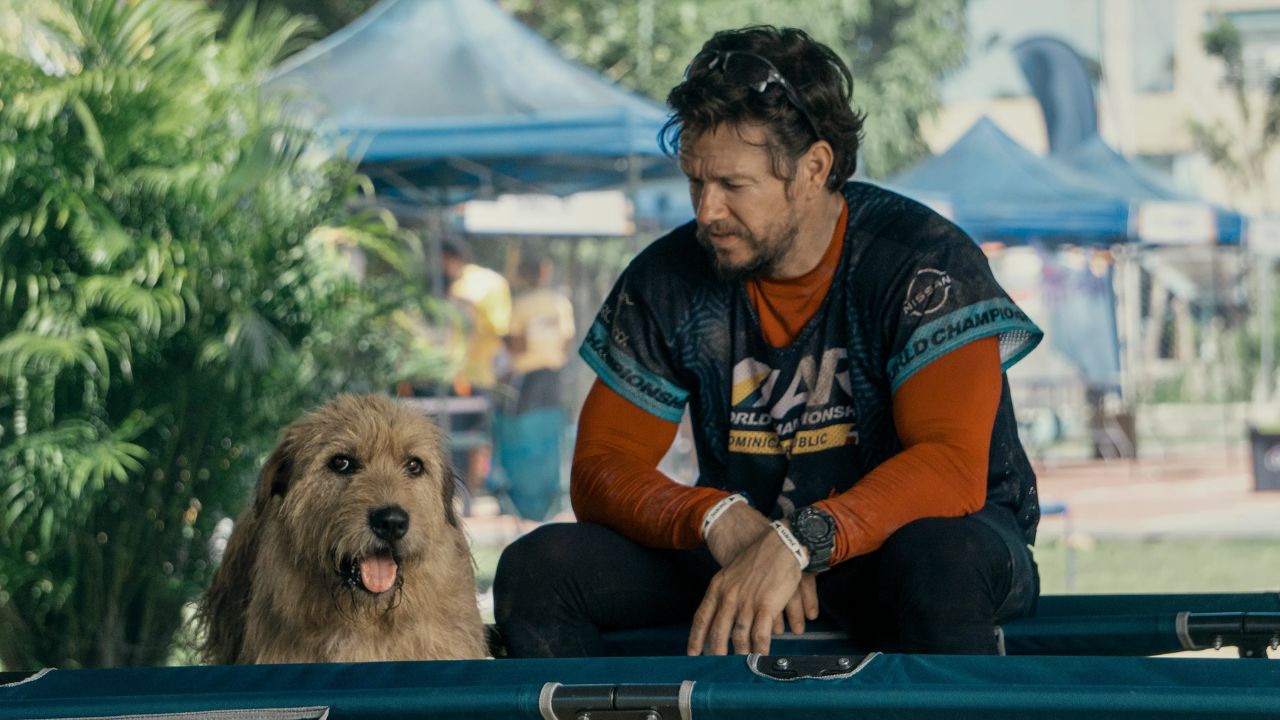 Arthur the King Mark Wahlberg - Cinematographe.it