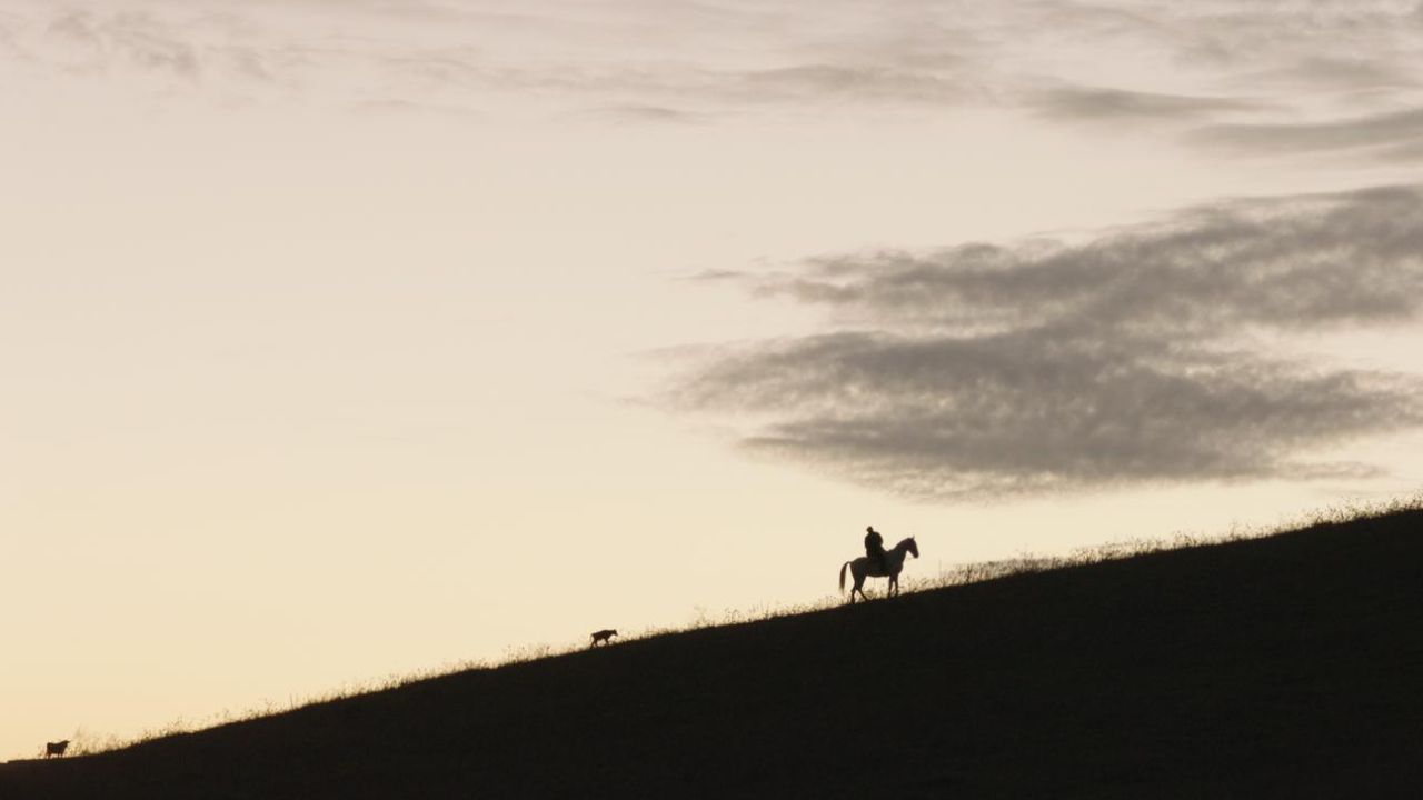 Animale Umano, cinematographe.it