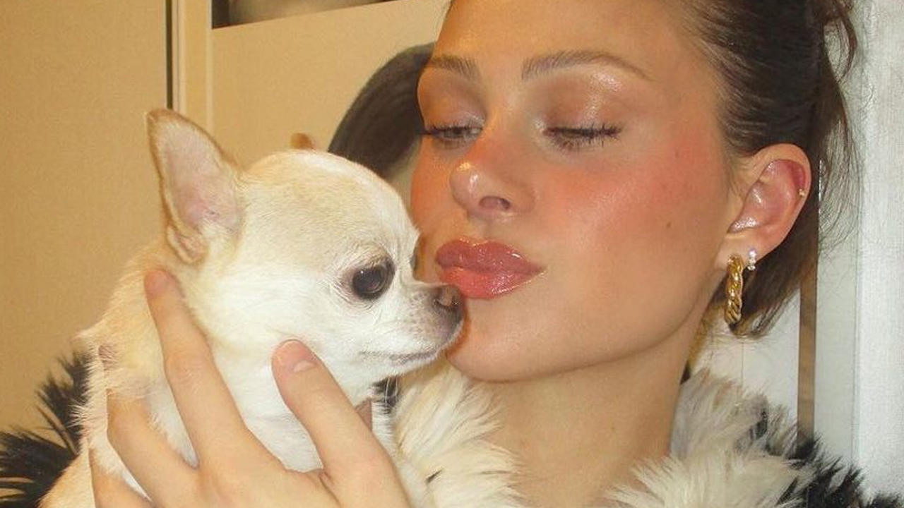 Nicola Peltz Beckam denuncia il tosatore del suo cane: “lo ha ucciso”