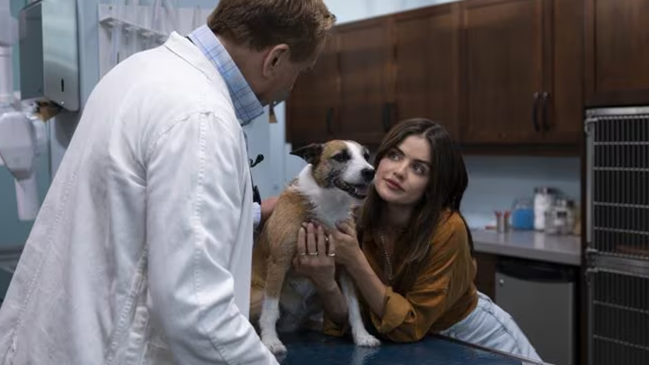 Puppy Love: trama, trailer e cast del film Prime Video