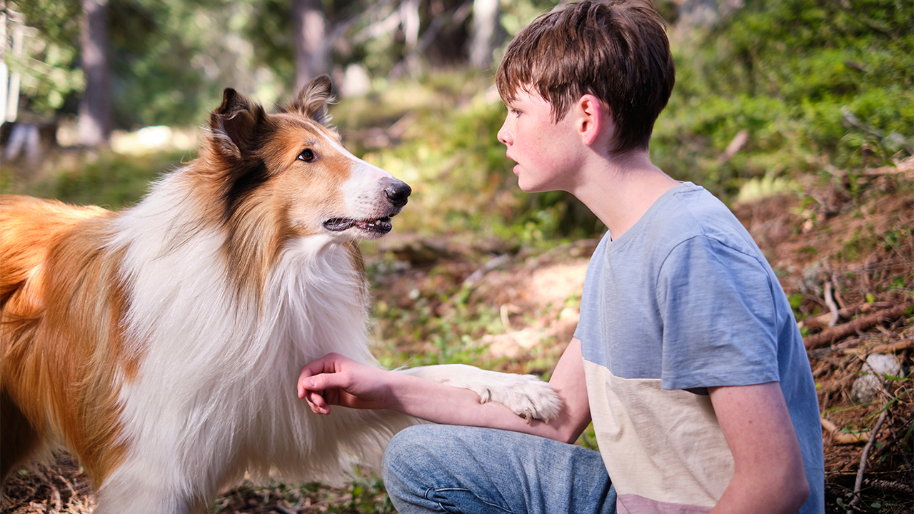 Lassie - Una nuova avventura; cinematographe.it