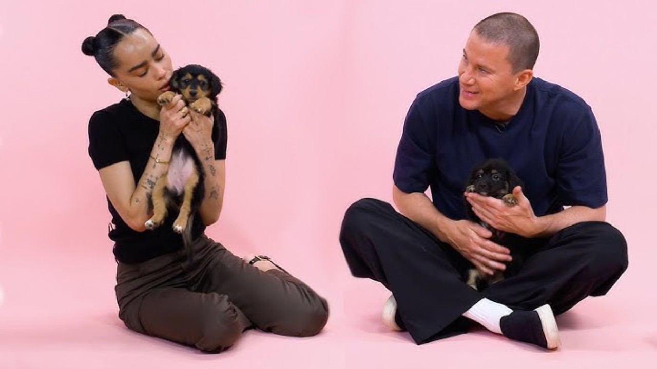 Zoë Kravitz e Channing Tatum, la storia d’amore è al capolinea?