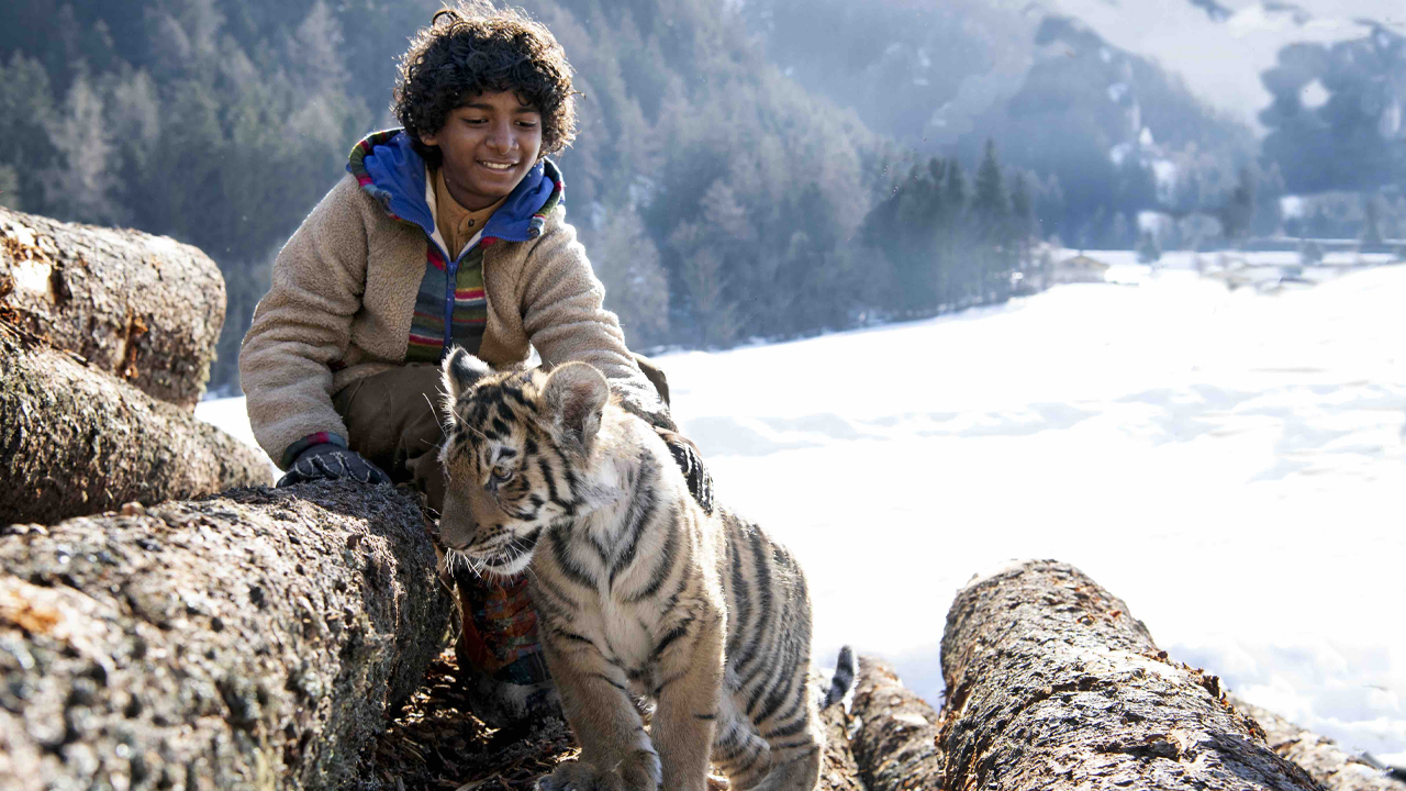 Il ragazzo e la tigre - cinematographe.it