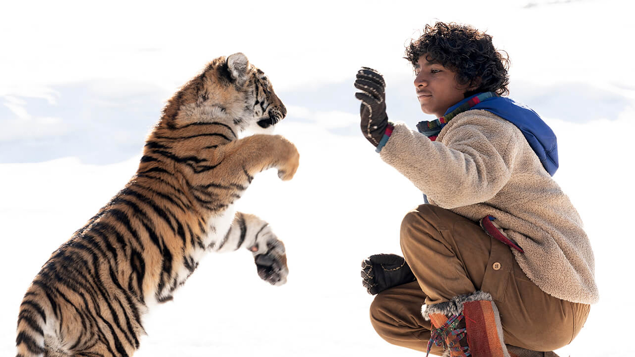 Il ragazzo e la tigre: la storia vera della filantropa Maggie Doyne, che ha ispirato il film