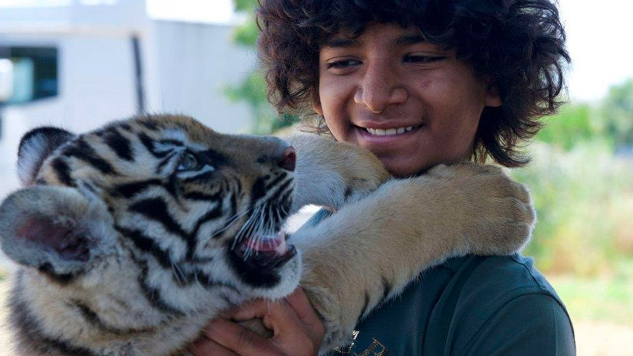 Il ragazzo e la tigre - cinematographe.it