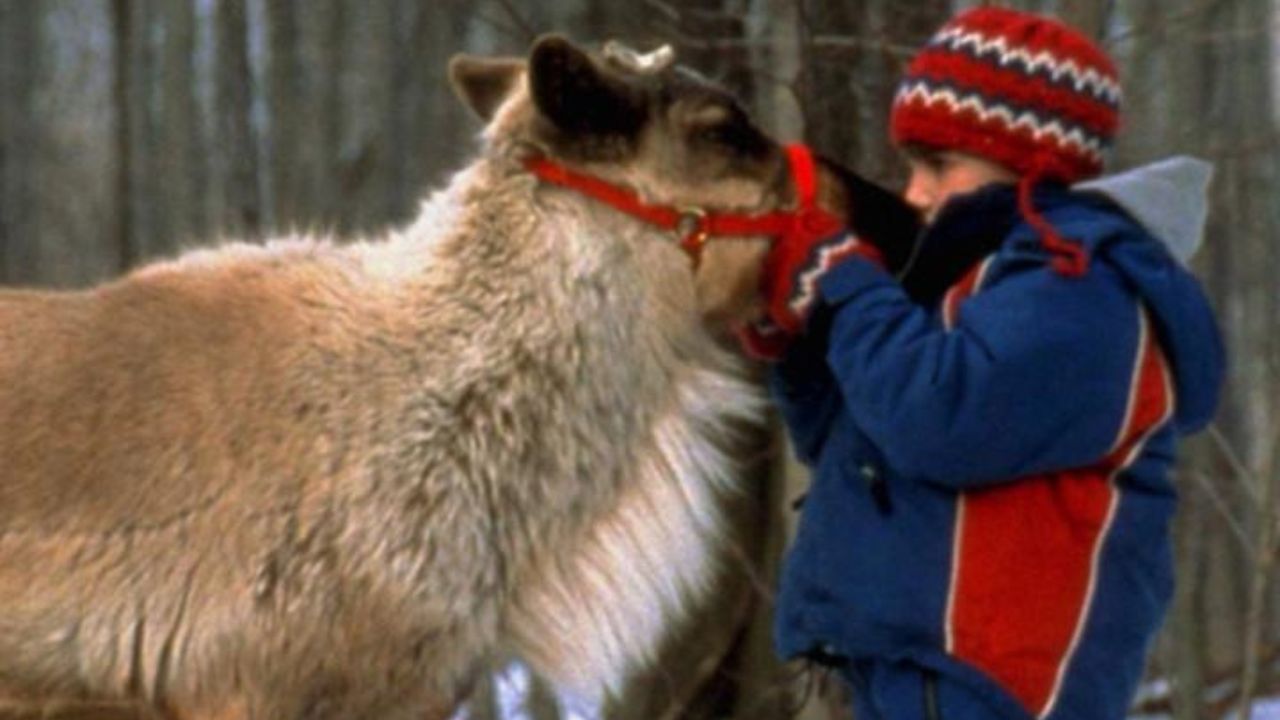 Il ritorno di Prancer la renna di Babbo Natale trama cast - Cinematographe.it