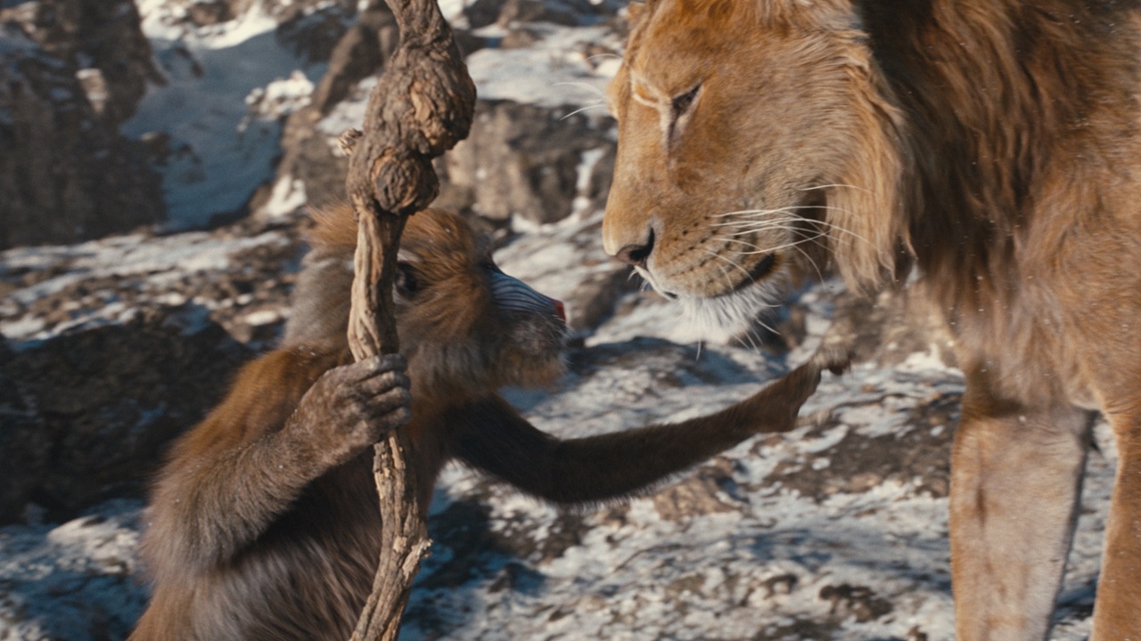 Mufasa: Il Re Leone cinematographe.it