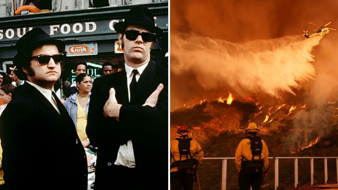 Incendi Los Angeles, morta l’attrice Dalyce Curry dei Blues Brothers