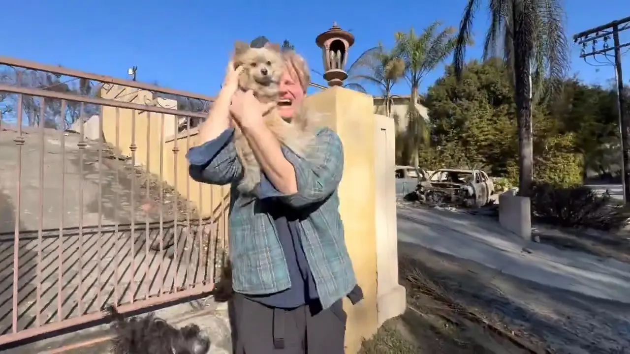 Incendi di Los Angeles: in tanto dolore una splendida scena commuove i residenti: “oh mio Dio, sei vivo” [FOTO]