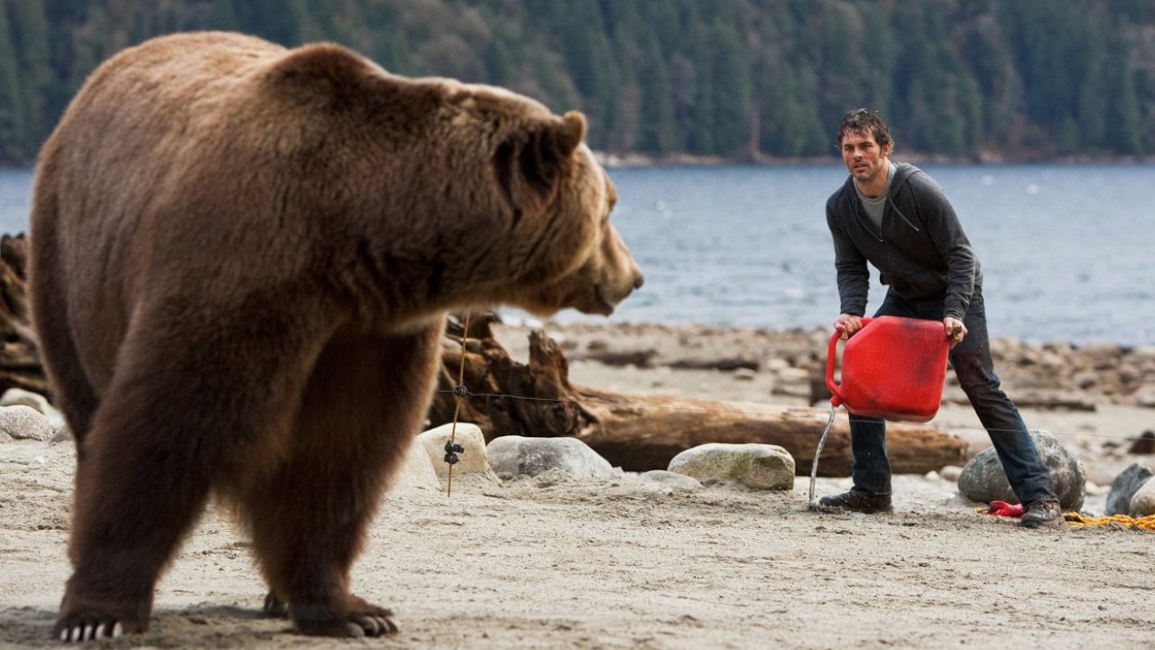 Il labirinto del Grizzly trama cast curiosità - Cinematographe.it