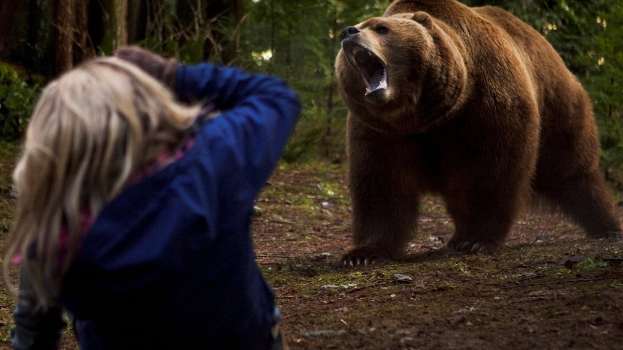 Il labirinto del Grizzly trama cast curiosità - Cinematographe.it